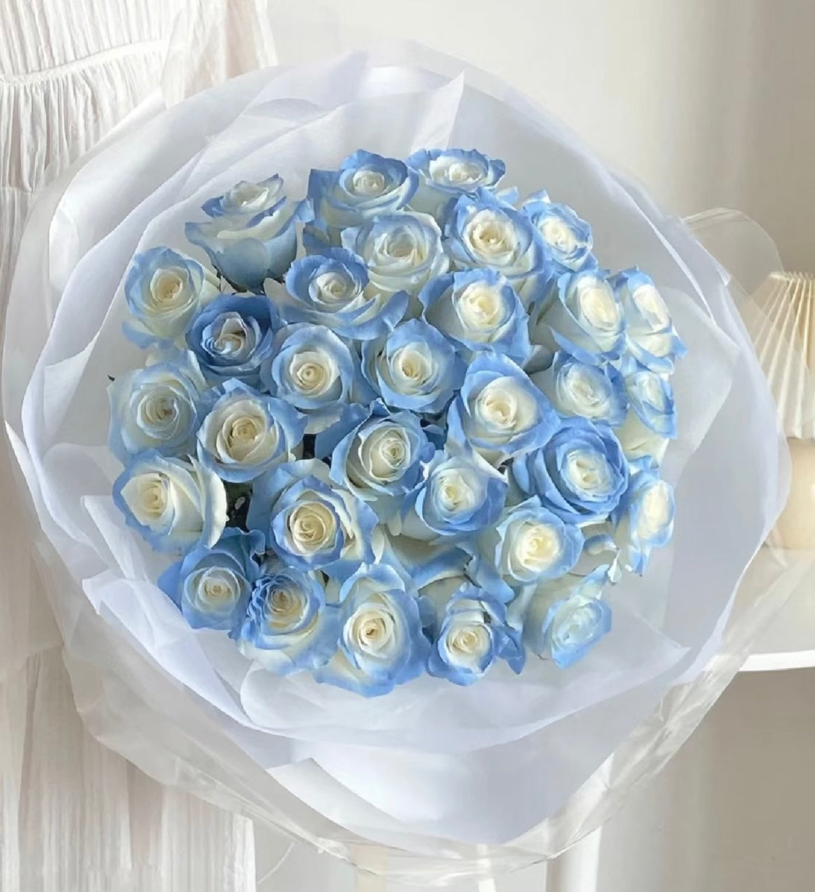 Ocean Blue